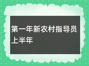 第一年新农村指导员上半年