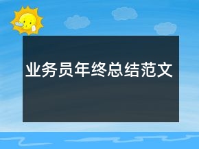 业务员年终总结范文