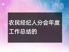 农民经纪人分会年度工作总结的