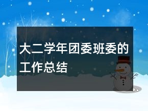 大二学年团委班委的工作总结