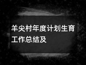羊尖村年度计划生育工作总结及