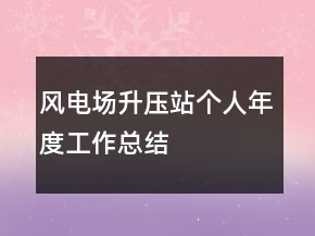 风电场升压站个人年度工作总结