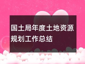 国土局年度土地资源规划工作总结