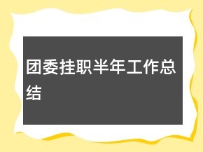 团委挂职半年工作总结