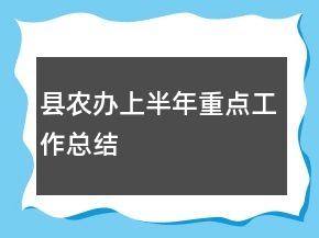 县农办上半年重点工作总结