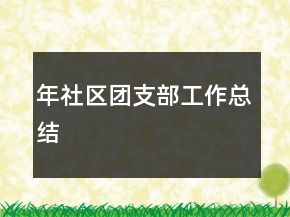 年社区团支部工作总结