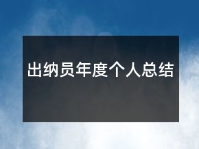出纳员年度个人总结