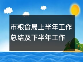 市粮食局上半年工作总结及下半年工作计划