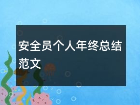 安全员个人年终总结范文