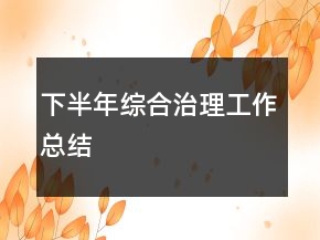 下半年综合治理工作总结