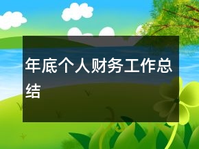 年底个人财务工作总结