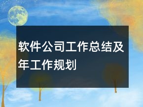 软件公司工作总结及年工作规划