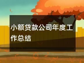 小额贷款公司年度工作总结
