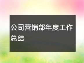 公司营销部年度工作总结