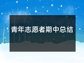 青年志愿者期中总结