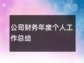 公司财务年度个人工作总结