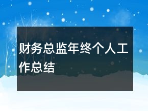 财务总监年终个人工作总结