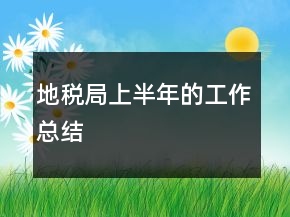 地税局上半年的工作总结