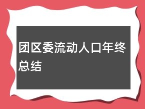 团区委流动人口年终总结