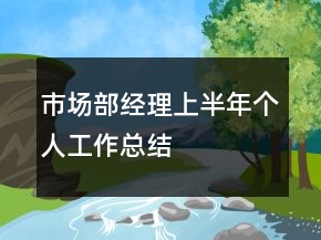 市场部经理上半年个人工作总结