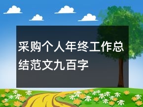 采购个人年终工作总结范文九百字