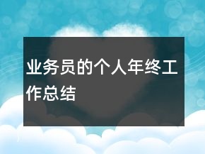 业务员的个人年终工作总结