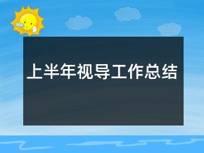 上半年视导工作总结