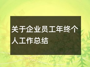 关于企业员工年终个人工作总结