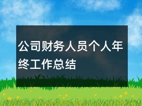 公司财务人员个人年终工作总结