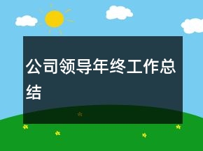 公司领导年终工作总结