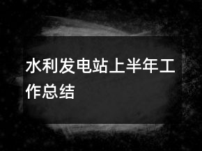 水利发电站上半年工作总结