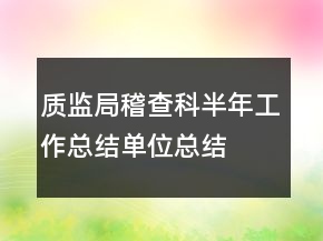 质监局稽查科半年工作总结单位总结