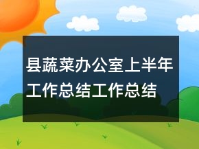 县蔬菜办公室上半年工作总结工作总结