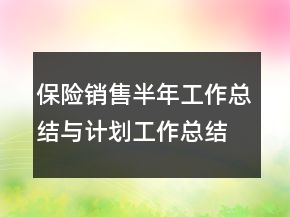 保险销售半年工作总结与计划工作总结