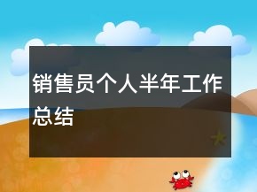 销售员个人半年工作总结