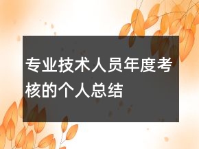 专业技术人员年度考核的个人总结