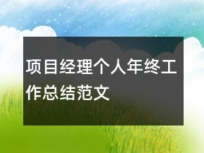 项目经理个人年终工作总结范文
