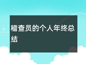 稽查员的个人年终总结