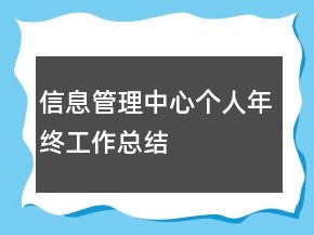 信息管理中心个人年终工作总结