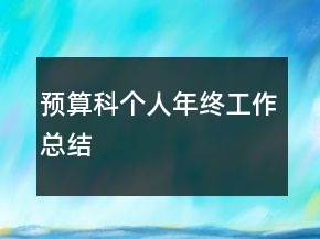 预算科个人年终工作总结