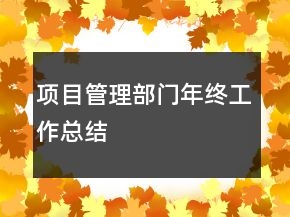 项目管理部门年终工作总结