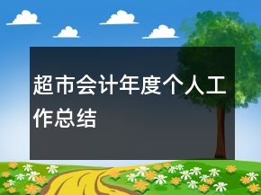 超市会计年度个人工作总结