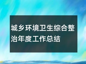 城乡环境卫生综合整治年度工作总结