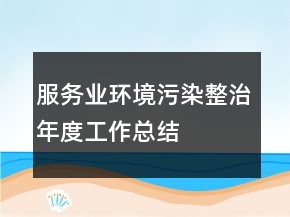 服务业环境污染整治年度工作总结