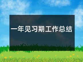 一年见习期工作总结