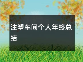 注塑车间个人年终总结