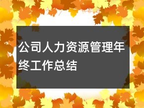 公司人力资源管理年终工作总结