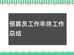 预算员工作年终工作总结