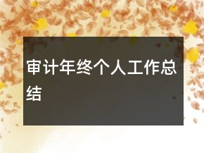 审计年终个人工作总结