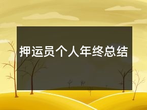 押运员个人年终总结